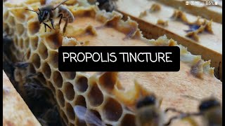 What is Propolis Tincture [upl. by Amelie]