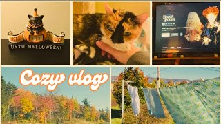 VLOGTOBER WEEK THREE  FALL COZY VLOG [upl. by Yatnoj]