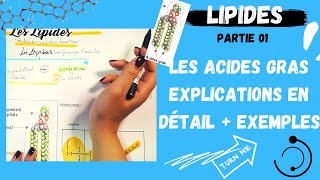 📣1 Les Lipides Partie1 Les Acides Gras explication en détail  des exemplesاقوى مراجعة لللبيدات [upl. by Mya]