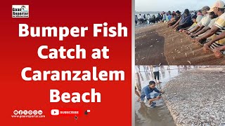 Goan Reporter News Bumper Fish Catch at Caranzalem Beach [upl. by Deelaw189]