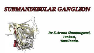 Submandibular ganglion  Roots  Branches  Development  Clinical Anatomy  Animated video [upl. by Bernstein]