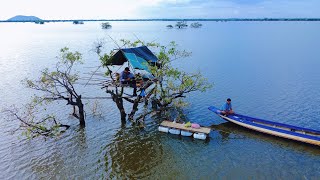 Tent On The Top Of The Tree 2 nights And 3 days  Cambodia 🇰🇭 បោះតង់លើចុងឈើ [upl. by Twedy]