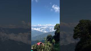 Darjeeling tea garden darjeeling minivlog travel [upl. by Levana]