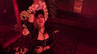 Rosegarden Funeral Party  Mirrors Image Official Music Video [upl. by Eilujna]