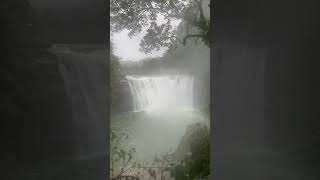 PART 5 Walk from Shifen Station to Shifen Waterfall Pingxi Taiwan shorts [upl. by Amathiste]