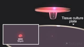 Procédé dimpression 3D du vivant par laser [upl. by Welton648]