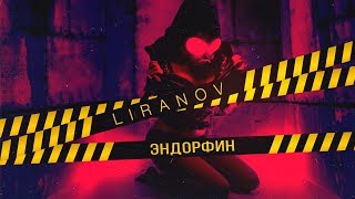 LIRANOV  Эндорфин Lyric Video [upl. by Tegdirb]