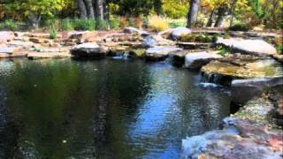 Natural Swimming Pools amp Ponds About [upl. by Hewart880]