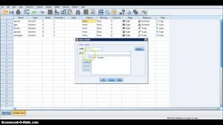 MANOVA in SPSS [upl. by Siekram437]