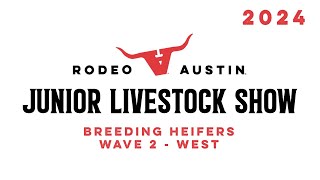 Rodeo Austin  Breeding Heifers  Wave 2  West Ring [upl. by Archibold923]