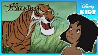 🐯 Mowgli Faces Shere Khan  Jungle Book  Disney Kids [upl. by Eivets]