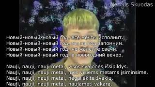 lyrics Стекловата  Новый Год LIETUVIŠKAI [upl. by Dauf]