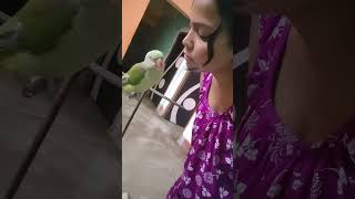 Hami dische youtube funnyanimals birds youtubeshorts cute [upl. by Ahsla]