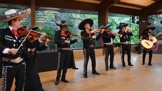 mariachis en Barcelona Son de la negra Mariachi Internacional Barcelona [upl. by Mcknight443]