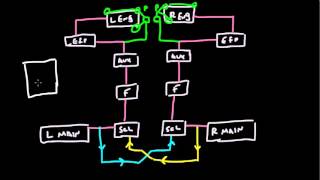 Nissan SR20 Fuel System Diagram [upl. by Kcirredal571]