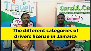 The different categories of drivers license in Jamaica  CarsJaCo 7 [upl. by Emanuel]