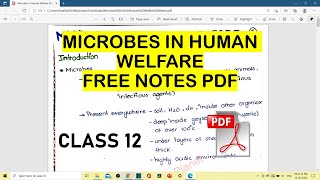 Microbes In Human Welfare Notes  In Notes  Class 12  FREE PDF 🔥🔥  Term2  Biology [upl. by Nalra817]