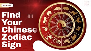 Chinese Zodiac Animals Personality amp Compatibility What is My Chinese Zodiac Sign and Element [upl. by Nomaj]