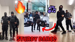 Sturdy Dance V3 🔥💯🌍  TikTok Compilation [upl. by Davide]