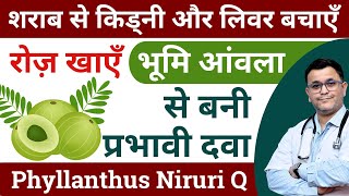 Bhumi Amla benefits Phyllanthus Niruri homeopathic medicine Benefits of bhumi amla Phyllanthus Q [upl. by Siraj]