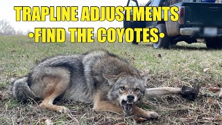 MOVING TRAPS AND TRAPPING COYOTES HOW TO FIND COYOTES [upl. by Zanahs]