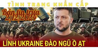 Bản tin trưa 2122024  Tình trạng ĐÀO NGŨ ở UKRAINE gia tăng [upl. by Alin]