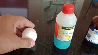 How to test Protein in Egg Albumin test for Protein Xanthoproteic test Ninhydrin test Biuret test [upl. by Tavi752]