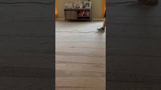 Carpet cleaning in Phenix City AL jetstreamclean jetstreamclean jetstreamclean [upl. by Asehr]