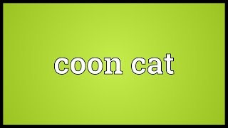 Coon cat Meaning [upl. by Neerhtak647]