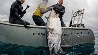 SPEARFISHING GIANT DOGTOOTH TUNA IN PAPUA NEW GUINEA [upl. by Perron673]