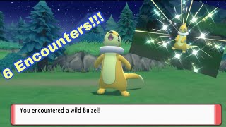 Shiny Buizel Pokémon BDSP 6 ENCOUNTERS [upl. by Anirbas]