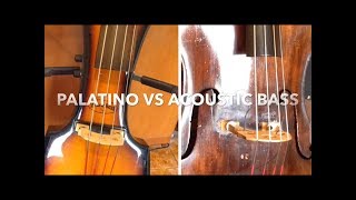 Palatino vs Acoustic Double Bass line out sound check [upl. by Nowtna871]