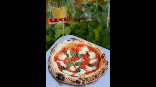 How to make the Perfect Neapolitan Pizza at Home [upl. by Olnee]