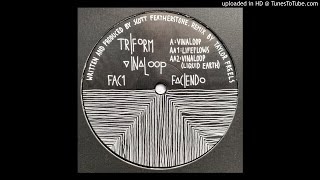 Triform ‎ Vinaloop [upl. by Kline]