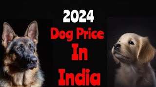 Dog Price Update  German Shephard and Labrador ❗ Dog Price in India in 2024 [upl. by Adeehsar36]