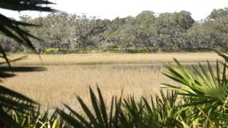 Blackbeard ISLAND Hunt 2013 [upl. by Marola505]