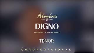 Digno  Adoradores 5  Kit voz Tenor [upl. by Ahselrak]