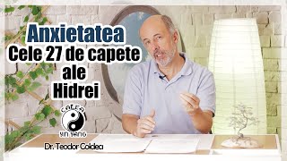 Anxietatea Cele 27 de capete ale Hidrei DrTeodor Coldea [upl. by Rriocard739]