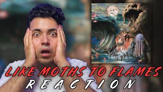 Like Moths To Flames  Over the Garden Wall REACTION [upl. by Adnahsed]