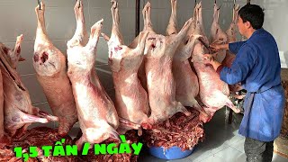 Tandoor Khổng Lồ 35 Con Dê 500Kg Bò  175 Con Gà Mỗi Ngày  Ẩm Thực Đường Phố Tại Uzbekistan 🇺🇿 [upl. by Teece694]