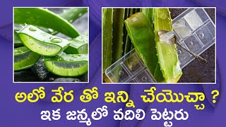 Aloe Vera Benefits In Telugu Hair amp Glowing Skin Remedies  Kalabanda Uses  OopsTvTelugu [upl. by Anailil968]