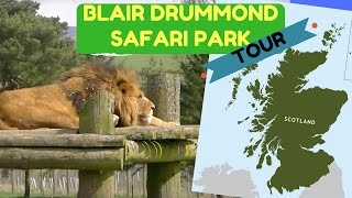 A tour of Blair Drummond Safari Park Scotland  Scotland tours [upl. by Gibeon]