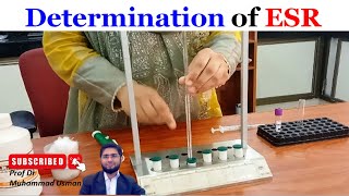 Determination of Erythrocyte Sedimentation Rate ESR  ESR measurement  Physiology practical [upl. by Battiste]