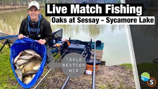 Live Match Fishing  The Oaks at Sessay Sycamore Lake [upl. by Joyce]