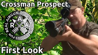 Crosman Prospect PCP Air Rifle I Was Wrong [upl. by Dnalerb]