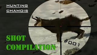 Shot COMPILATION 001 [upl. by Yrrab]