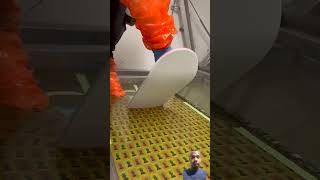 Hydro dipping skateboard [upl. by Anasiul890]