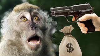 MONKEY MURDER  1 Dollar 1 Hour Gameplay [upl. by Annairoc538]