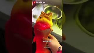 Fish 🐠 Slipper 🥿  New Viral Gadgets Smart Appliances Kitchen Utensils Home Inventions shorts [upl. by Sayers]