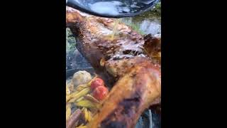 Grilled Rabbit in the Forest l Nature l Survival [upl. by Sandro]